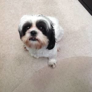 Meet your Posher, Julia